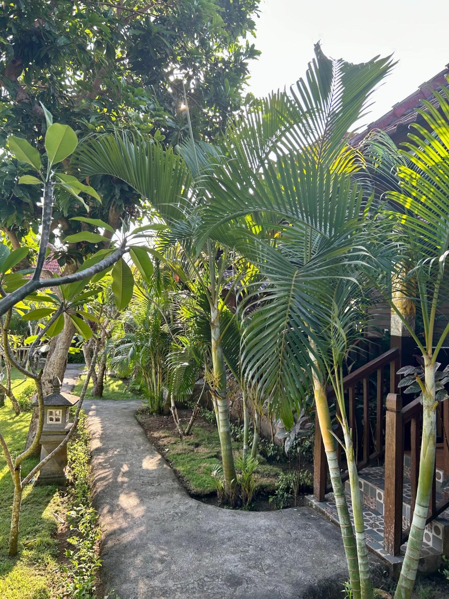 Island Garden Huts Lembongan Bed and Breakfast Nusa Lembongan Exteriör bild