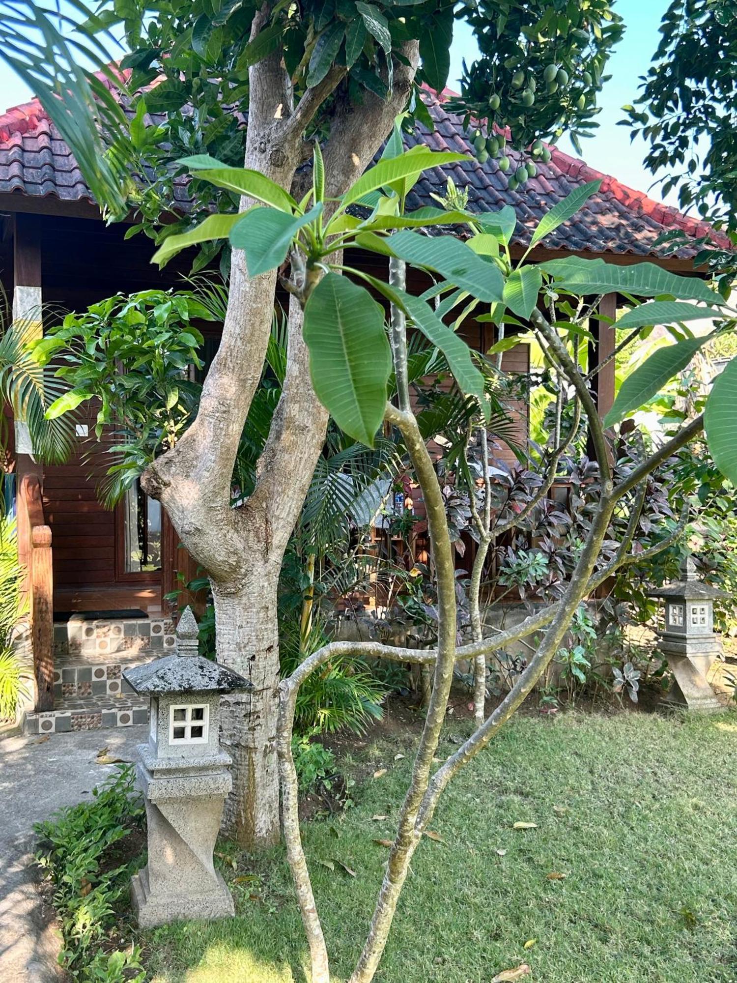 Island Garden Huts Lembongan Bed and Breakfast Nusa Lembongan Exteriör bild
