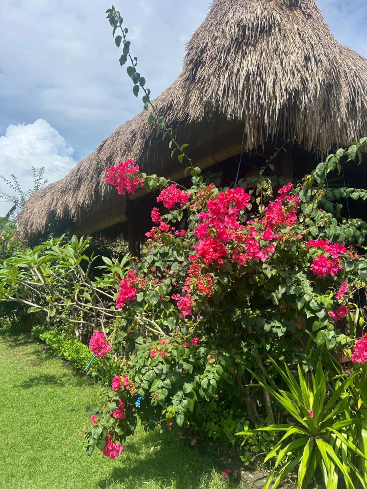 Island Garden Huts Lembongan Bed and Breakfast Nusa Lembongan Exteriör bild